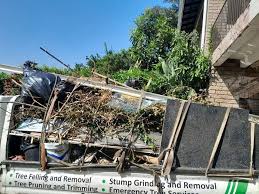 Best Attic Cleanout in De Queen, AR